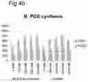Fig. 06 - Synergism of GOS and polyfructose