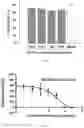 Fig. 03 - Application of Sulfated Polysaccharides in Resisting novel Coronavirus
