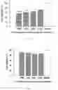 Fig. 06 - Application of Sulfated Polysaccharides in Resisting novel Coronavirus