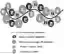 Fig. 01 - Antiseptic polymer and synthesis thereof