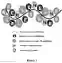 Fig. 02 - Antiseptic polymer and synthesis thereof