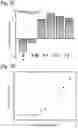 Fig. 04 - Silicified immunogenic cells, methods of making, and methods of using