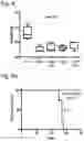 Fig. 08 - Silicified immunogenic cells, methods of making, and methods of using