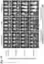 Fig. 09 - Silicified immunogenic cells, methods of making, and methods of using
