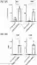 Fig. 11 - Silicified immunogenic cells, methods of making, and methods of using