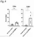 Fig. 13 - Silicified immunogenic cells, methods of making, and methods of using