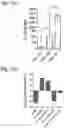 Fig. 17 - Silicified immunogenic cells, methods of making, and methods of using