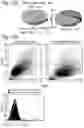Fig. 18 - Silicified immunogenic cells, methods of making, and methods of using