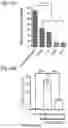 Fig. 22 - Silicified immunogenic cells, methods of making, and methods of using