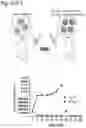 Fig. 23 - Silicified immunogenic cells, methods of making, and methods of using