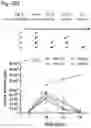 Fig. 30 - Silicified immunogenic cells, methods of making, and methods of using