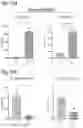 Fig. 36 - Silicified immunogenic cells, methods of making, and methods of using