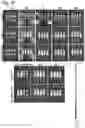 Fig. 41 - Silicified immunogenic cells, methods of making, and methods of using