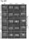 Fig. 43 - Silicified immunogenic cells, methods of making, and methods of using