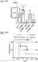 Fig. 44 - Silicified immunogenic cells, methods of making, and methods of using