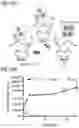 Fig. 45 - Silicified immunogenic cells, methods of making, and methods of using
