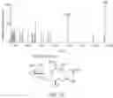 Fig. 13 - IMMUNOMODULATORY GLYCOSPHINGOLIPIDS AND METHODS OF USE THEREOF