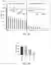 Fig. 16 - IMMUNOMODULATORY GLYCOSPHINGOLIPIDS AND METHODS OF USE THEREOF