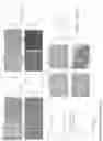 Fig. 12 - COMBINATION OF T-CELL THERAPY AND TARGETED THERAPY FOR TREATING THERAPY-RESISTANT MELANOMA WITH MUTATIONS IN THE BRAF GENE