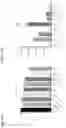 Fig. 104 - MODIFIED CELLS AND METHODS OF THERAPY