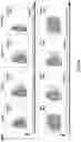 Fig. 58 - MODIFIED CELLS AND METHODS OF THERAPY