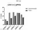 Fig. 64 - MODIFIED CELLS AND METHODS OF THERAPY