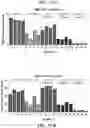 Fig. 74 - MODIFIED CELLS AND METHODS OF THERAPY