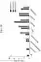 Fig. 78 - MODIFIED CELLS AND METHODS OF THERAPY