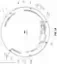 Fig. 02 - ANTI-ALPP CAR-T CELL THERAPY