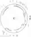 Fig. 04 - ANTI-ALPP CAR-T CELL THERAPY