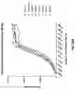 Fig. 16 - ANTI-ALPP CAR-T CELL THERAPY