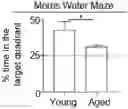 Fig. 01 - METHODS FOR IMPROVING COGNITIVE FUNCTION