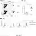Fig. 02 - METHODS FOR IMPROVING COGNITIVE FUNCTION