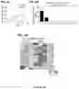 Fig. 09 - METHODS FOR IMPROVING COGNITIVE FUNCTION