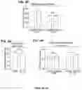 Fig. 13 - METHODS FOR IMPROVING COGNITIVE FUNCTION