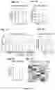 Fig. 21 - METHODS FOR IMPROVING COGNITIVE FUNCTION