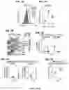 Fig. 23 - METHODS FOR IMPROVING COGNITIVE FUNCTION