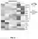 Fig. 24 - METHODS FOR IMPROVING COGNITIVE FUNCTION