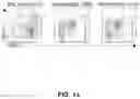 Fig. 30 - METHODS FOR IMPROVING COGNITIVE FUNCTION