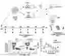 Fig. 01 - MATERIALS AND METHODS FOR BONE MARROW TRANSPLANTATION