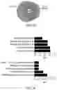 Fig. 07 - MATERIALS AND METHODS FOR BONE MARROW TRANSPLANTATION