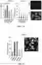 Fig. 09 - MATERIALS AND METHODS FOR BONE MARROW TRANSPLANTATION