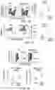 Fig. 11 - MATERIALS AND METHODS FOR BONE MARROW TRANSPLANTATION