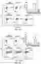 Fig. 13 - MATERIALS AND METHODS FOR BONE MARROW TRANSPLANTATION