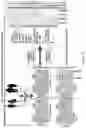 Fig. 15 - MATERIALS AND METHODS FOR BONE MARROW TRANSPLANTATION