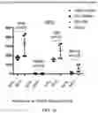 Fig. 25 - MATERIALS AND METHODS FOR BONE MARROW TRANSPLANTATION