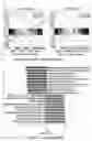 Fig. 29 - MATERIALS AND METHODS FOR BONE MARROW TRANSPLANTATION