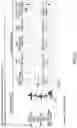 Fig. 37 - MATERIALS AND METHODS FOR BONE MARROW TRANSPLANTATION