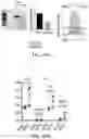 Fig. 42 - MATERIALS AND METHODS FOR BONE MARROW TRANSPLANTATION