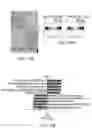Fig. 44 - MATERIALS AND METHODS FOR BONE MARROW TRANSPLANTATION
